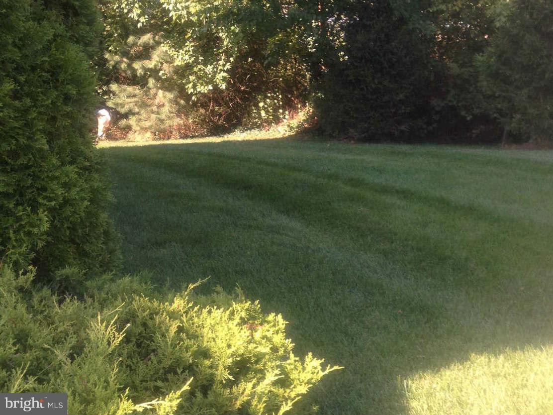 126 George Street Gaithersburg, MD 20877 - Photo 25 of 26 Wooded Side Yard