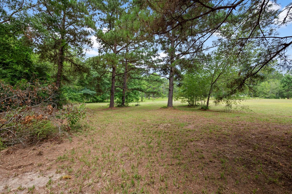 15 Apostolic Church Road Dothan, AL 36301 - Photo 61 of 63