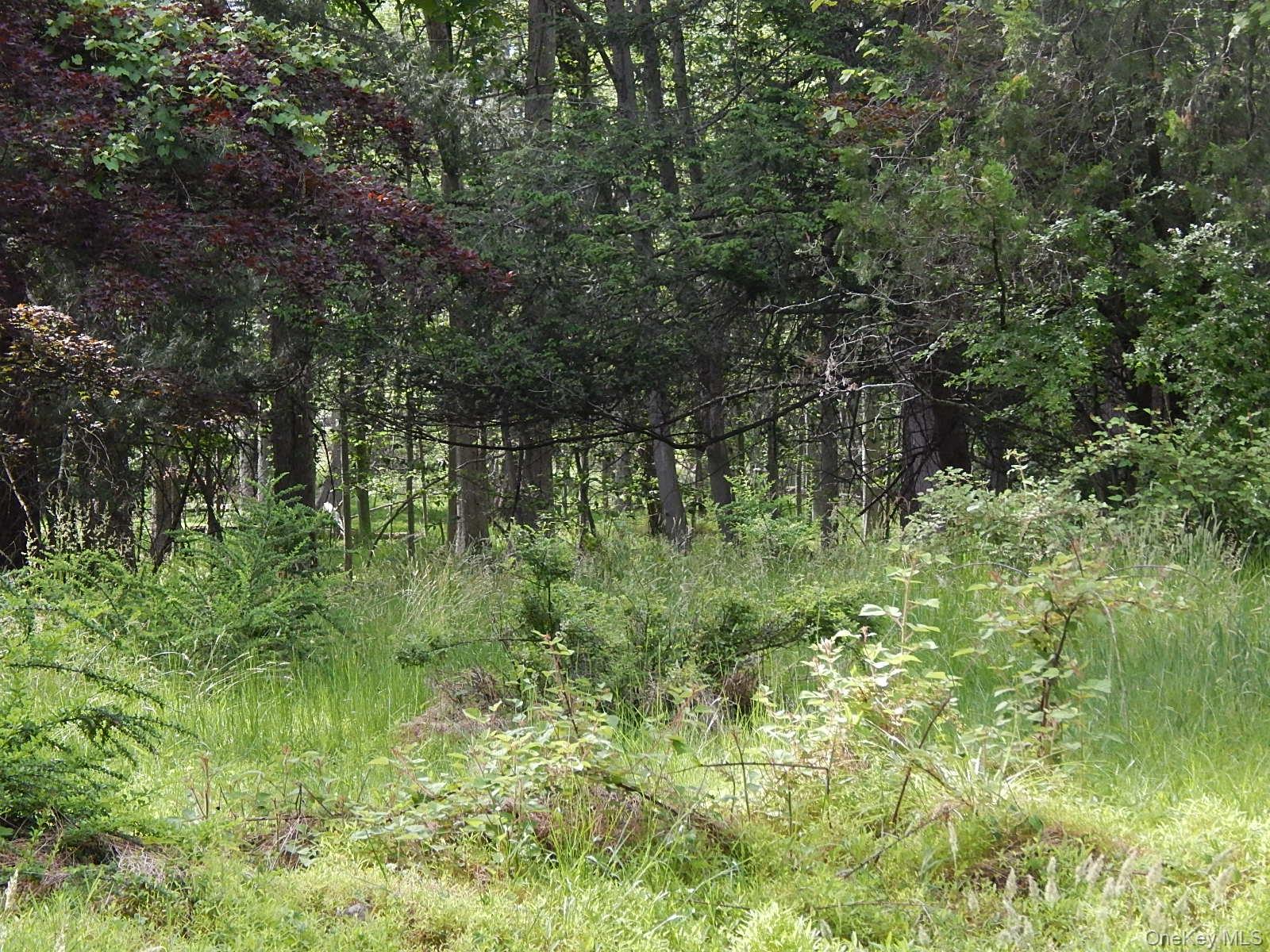 15 River Rise Road New City, NY 10956 - Photo 7 of 8