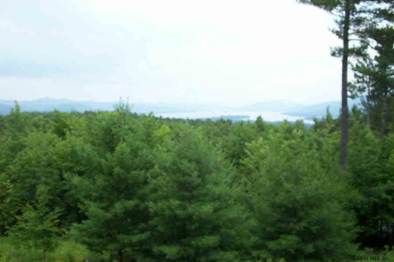 49 Top Of The World Road Lake George, NY 12845 - Photo 1 of 1 Photo 1