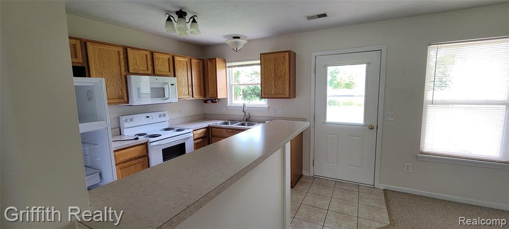 806 Cattail Lane Pinckney, MI 48169 - Photo 14 of 23