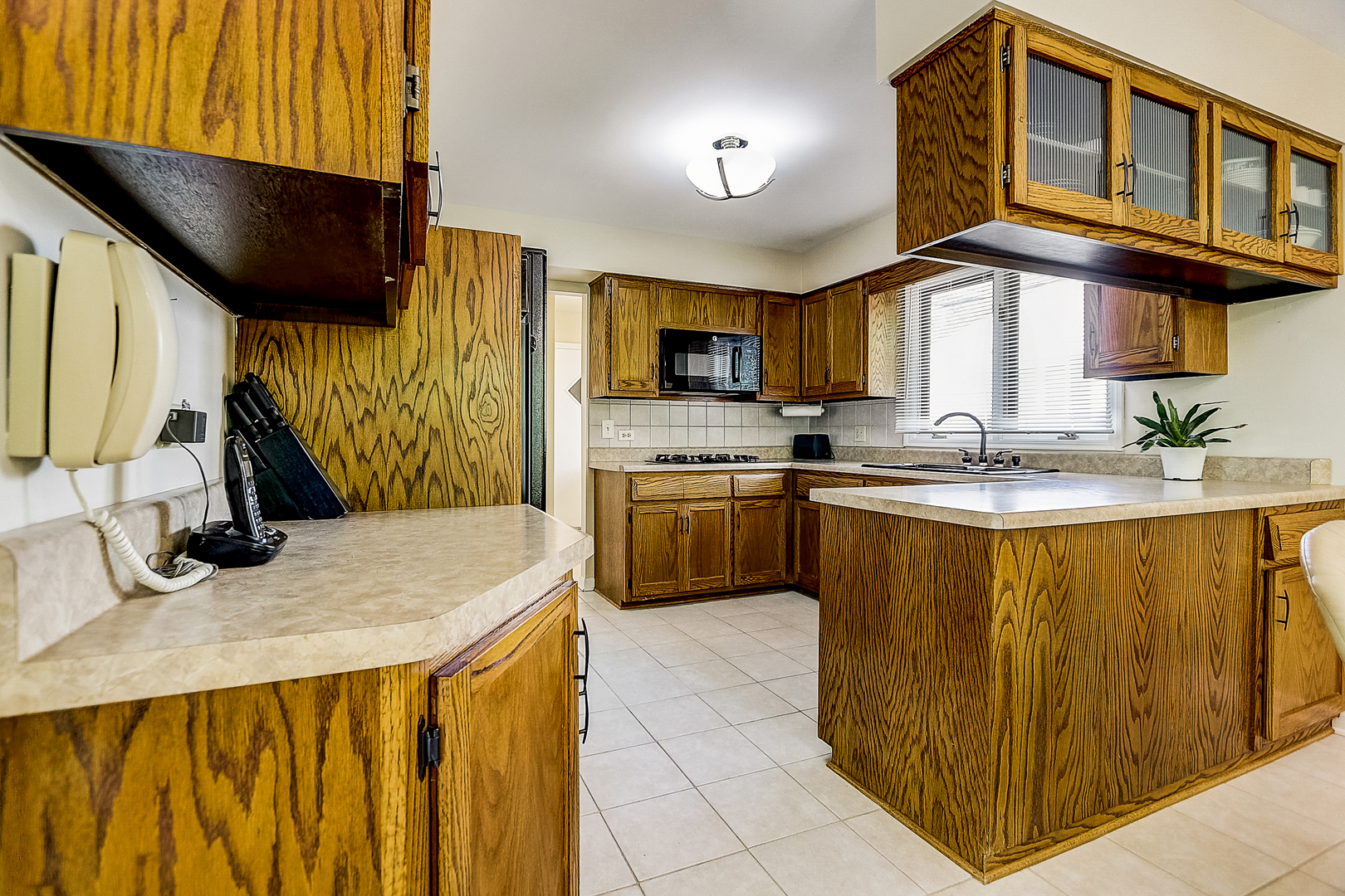 171 Monee Road Park Forest, IL 60466 - Photo 8 of 19