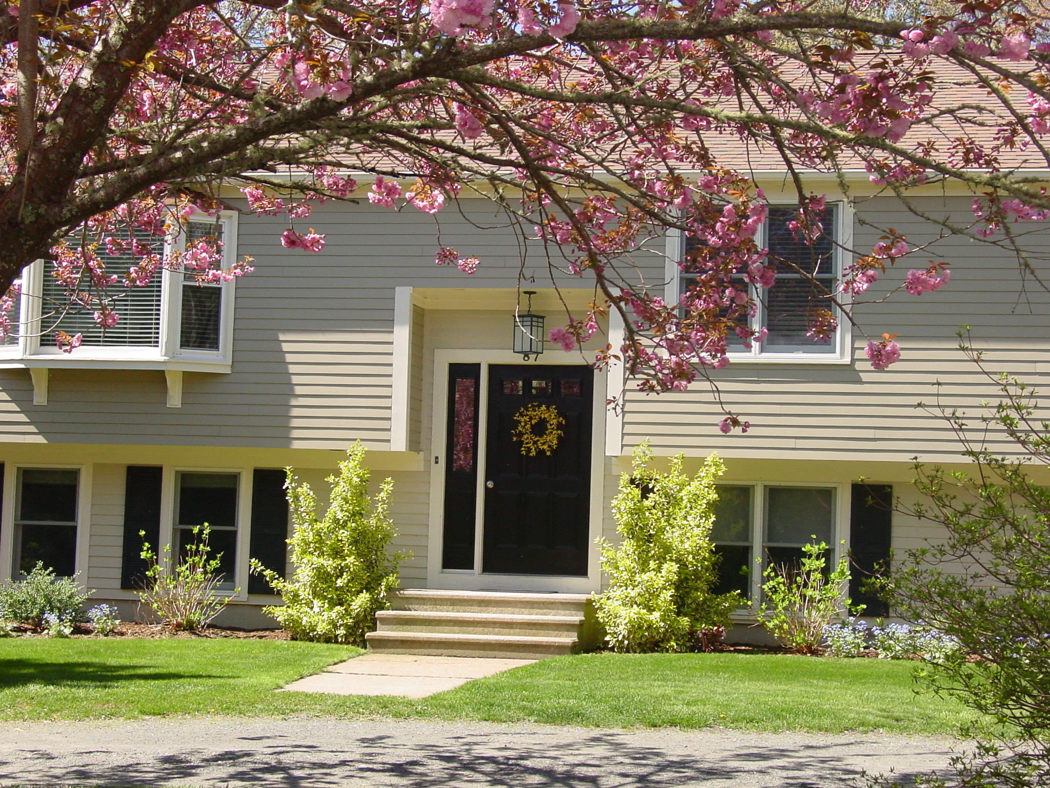 87 Red Fawn Road Brewster, MA 02631 - Photo 1 of 33 DSC01363