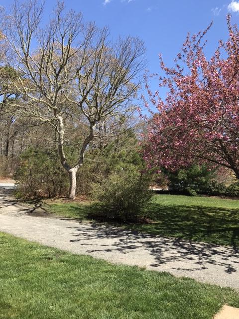 87 Red Fawn Road Brewster, MA 02631 - Photo 6 of 33 IMG_0160