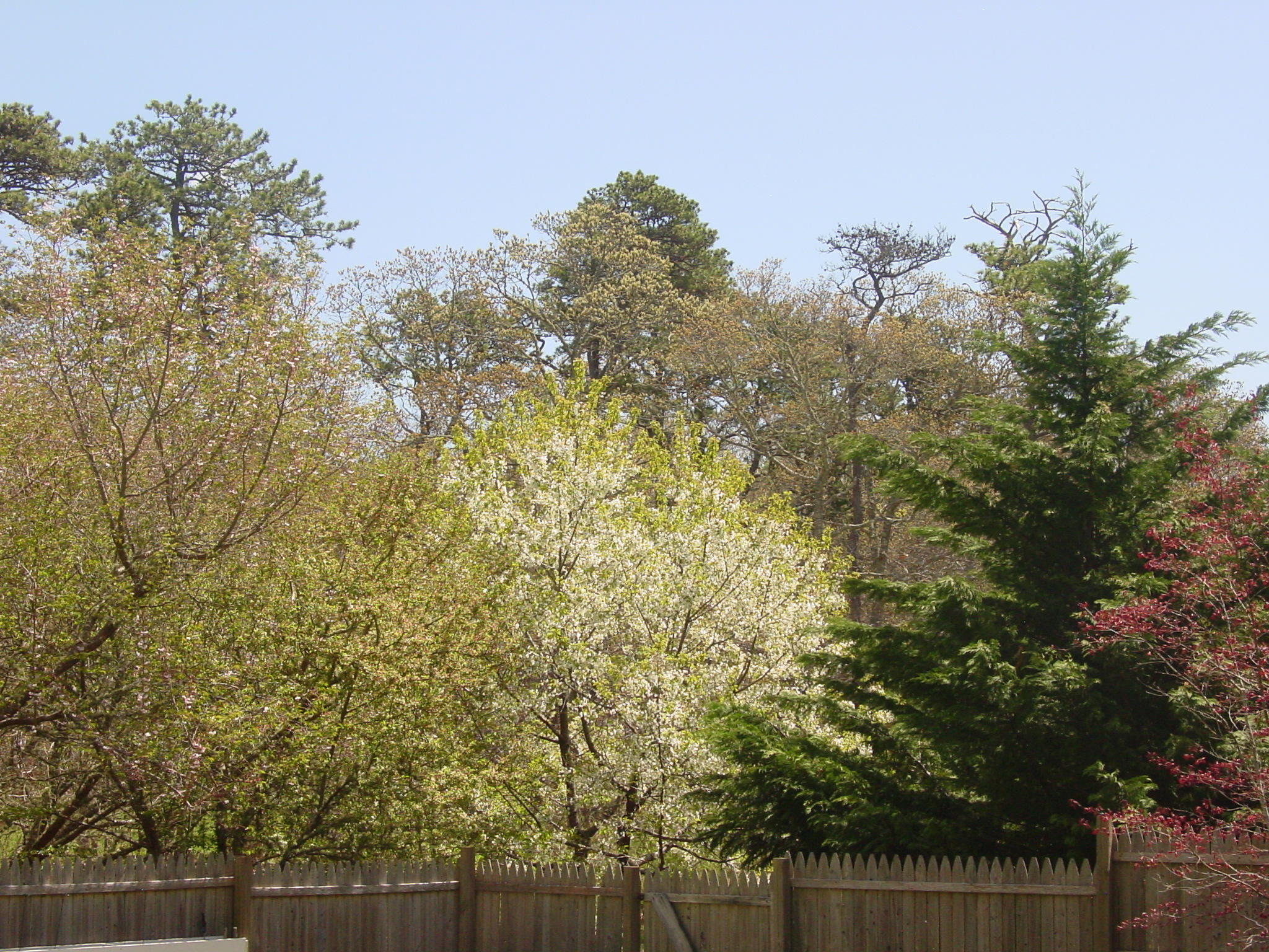 87 Red Fawn Road Brewster, MA 02631 - Photo 8 of 33 DSC01414
