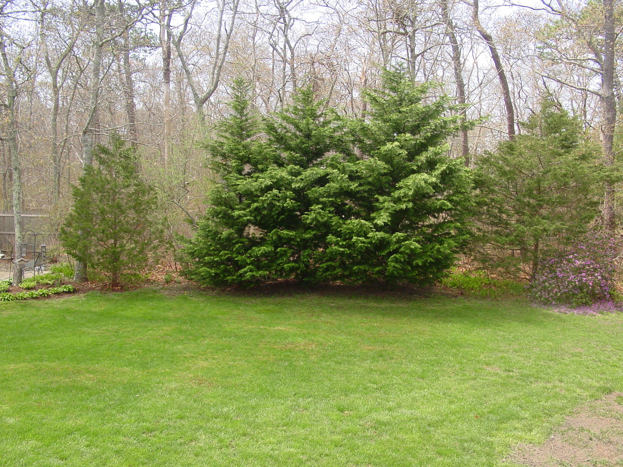 87 Red Fawn Road Brewster, MA 02631 - Photo 9 of 33 DSC01407