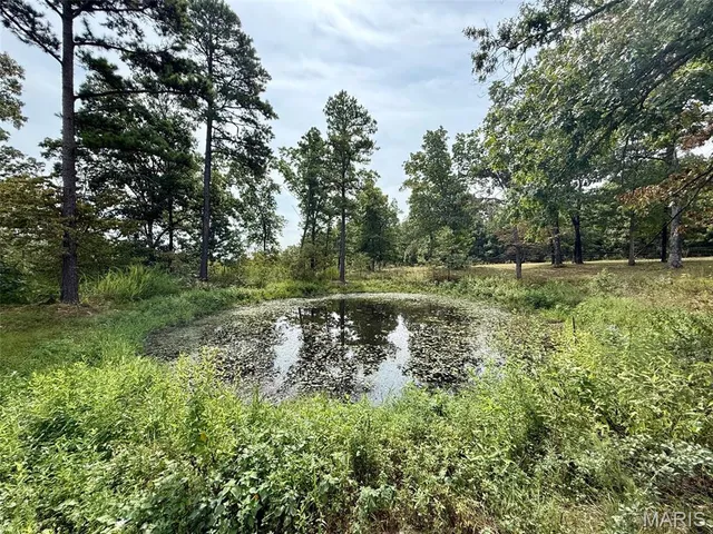 $575,000 | 20404 Alpine Trail, Raymondville, MO 65555