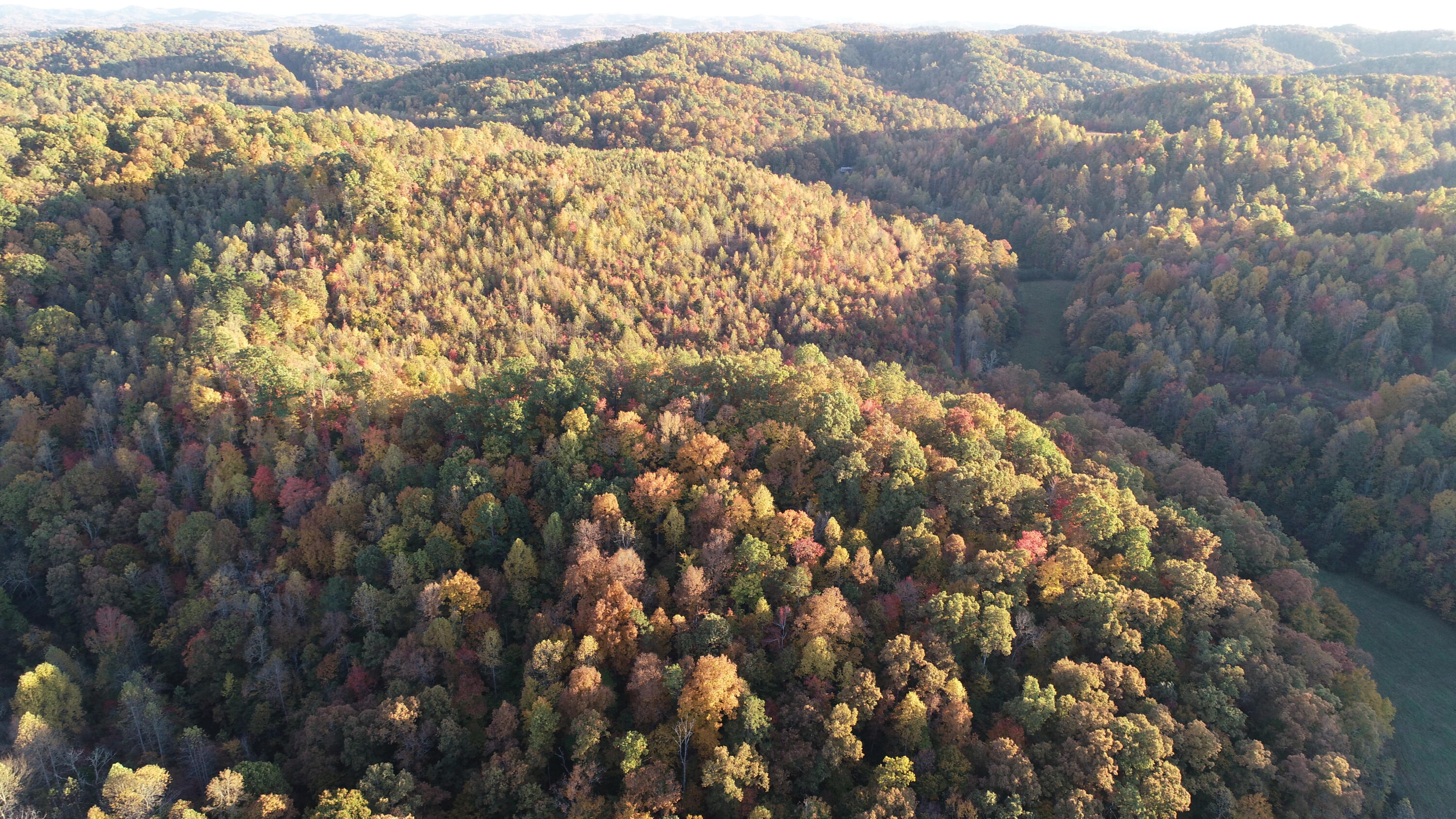 1111 Nineva Road London, KY 40741 - Photo 9 of 35 DJI_0494