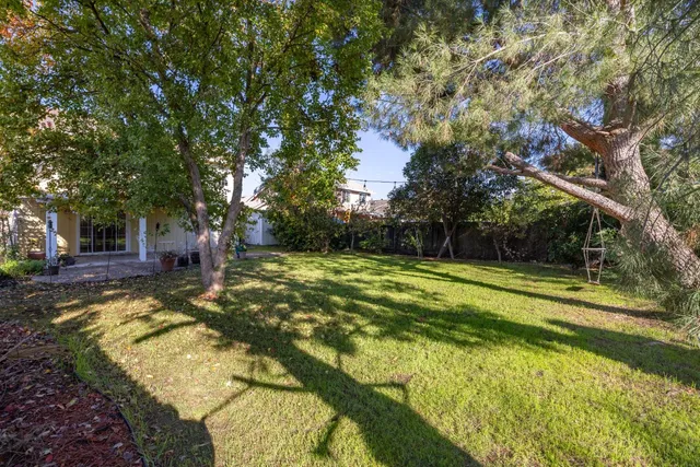 a view of a large yard with plants and large trees