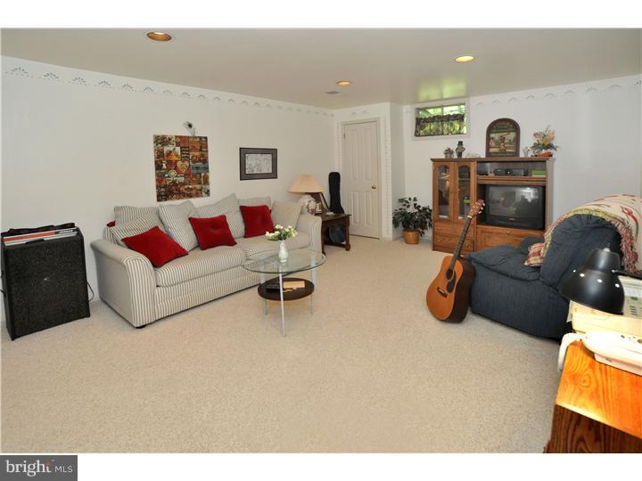 2838 Snake Hill Road Doylestown, PA 18902 - Photo 16 of 22 Basement - Finished