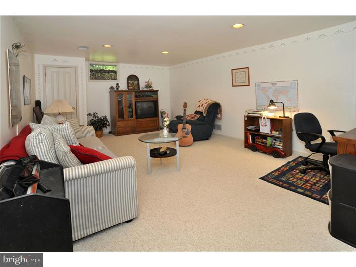 2838 Snake Hill Road Doylestown, PA 18902 - Photo 17 of 22 Basement - Finished