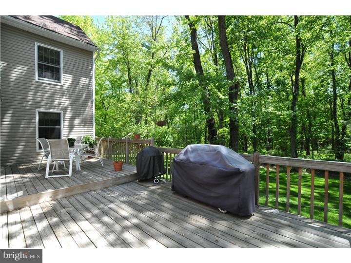 2838 Snake Hill Road Doylestown, PA 18902 - Photo 20 of 22 Deck