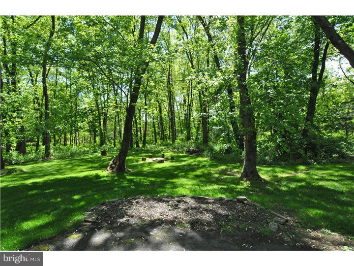 2838 Snake Hill Road Doylestown, PA 18902 - Photo 21 of 22 View in Back