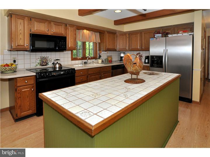 2838 Snake Hill Road Doylestown, PA 18902 - Photo 6 of 22 Kitchen