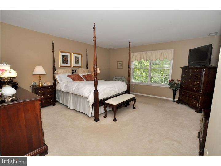 2838 Snake Hill Road Doylestown, PA 18902 - Photo 10 of 22 Bedroom - Main