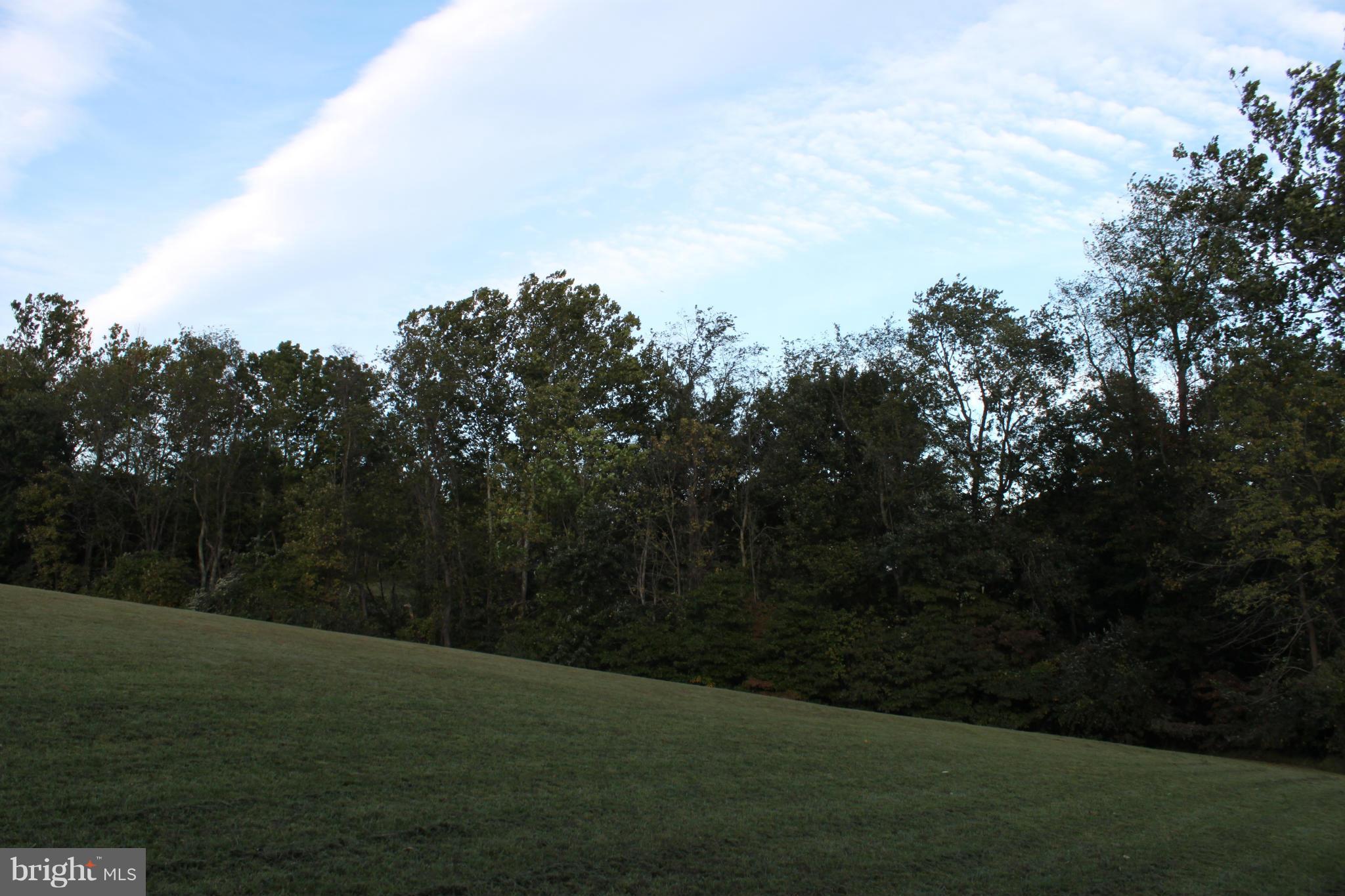 410 Hunters Road Washington, VA 22747 - Photo 2 of 29 The property