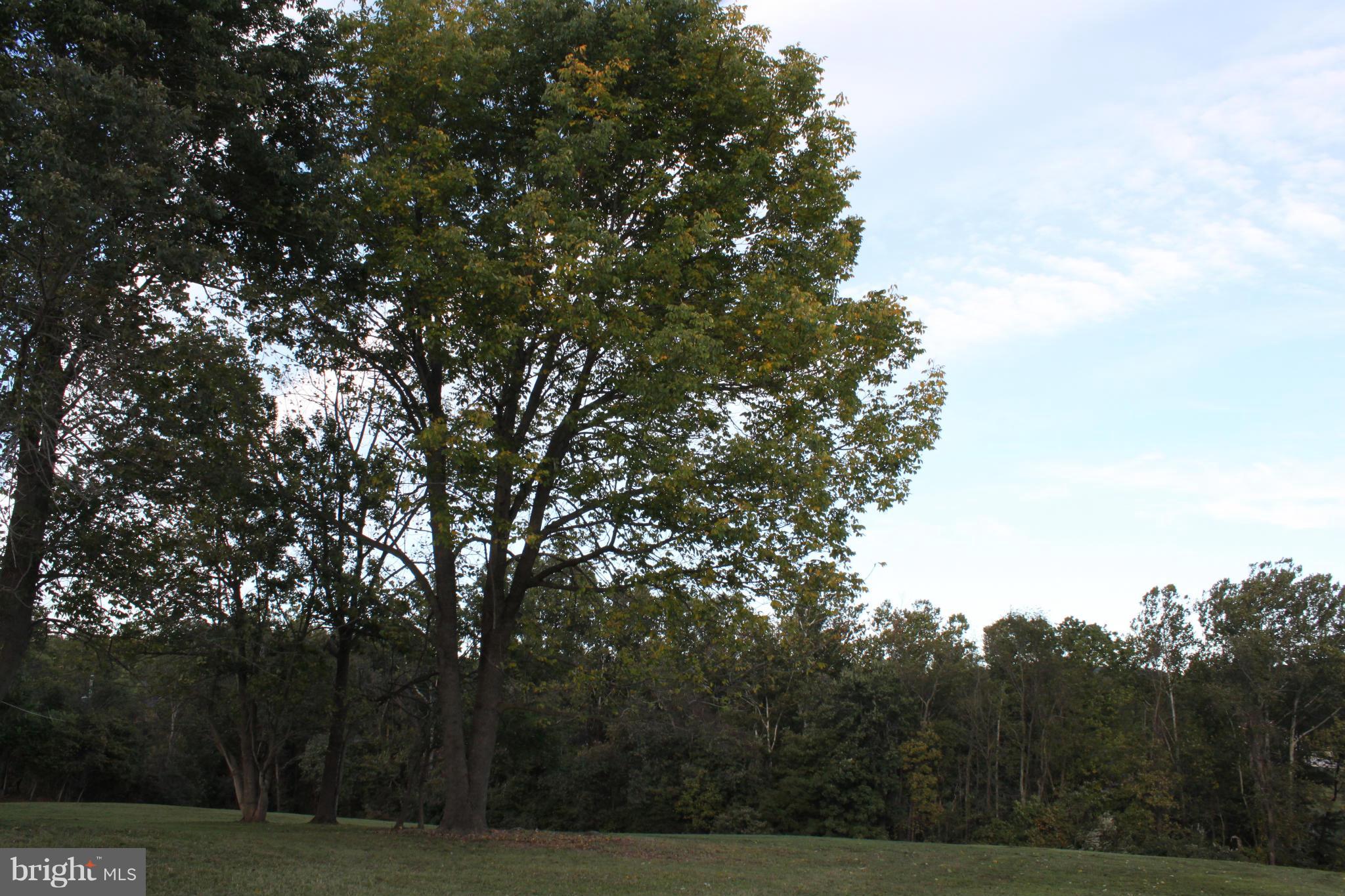 410 Hunters Road Washington, VA 22747 - Photo 22 of 29 The property