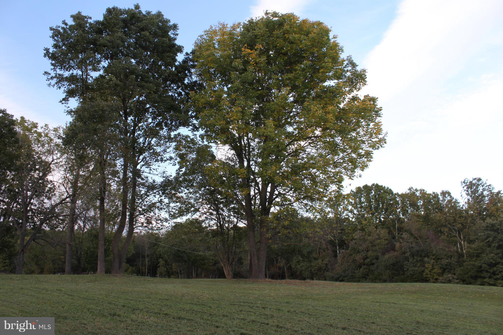 410 Hunters Road Washington, VA 22747 - Photo 24 of 29 The property