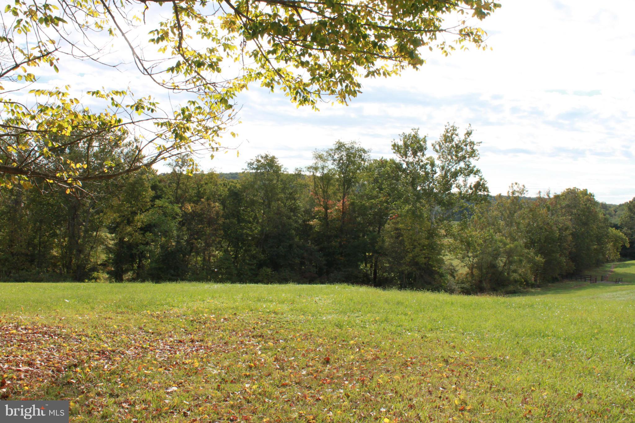 410 Hunters Road Washington, VA 22747 - Photo 4 of 29 The property