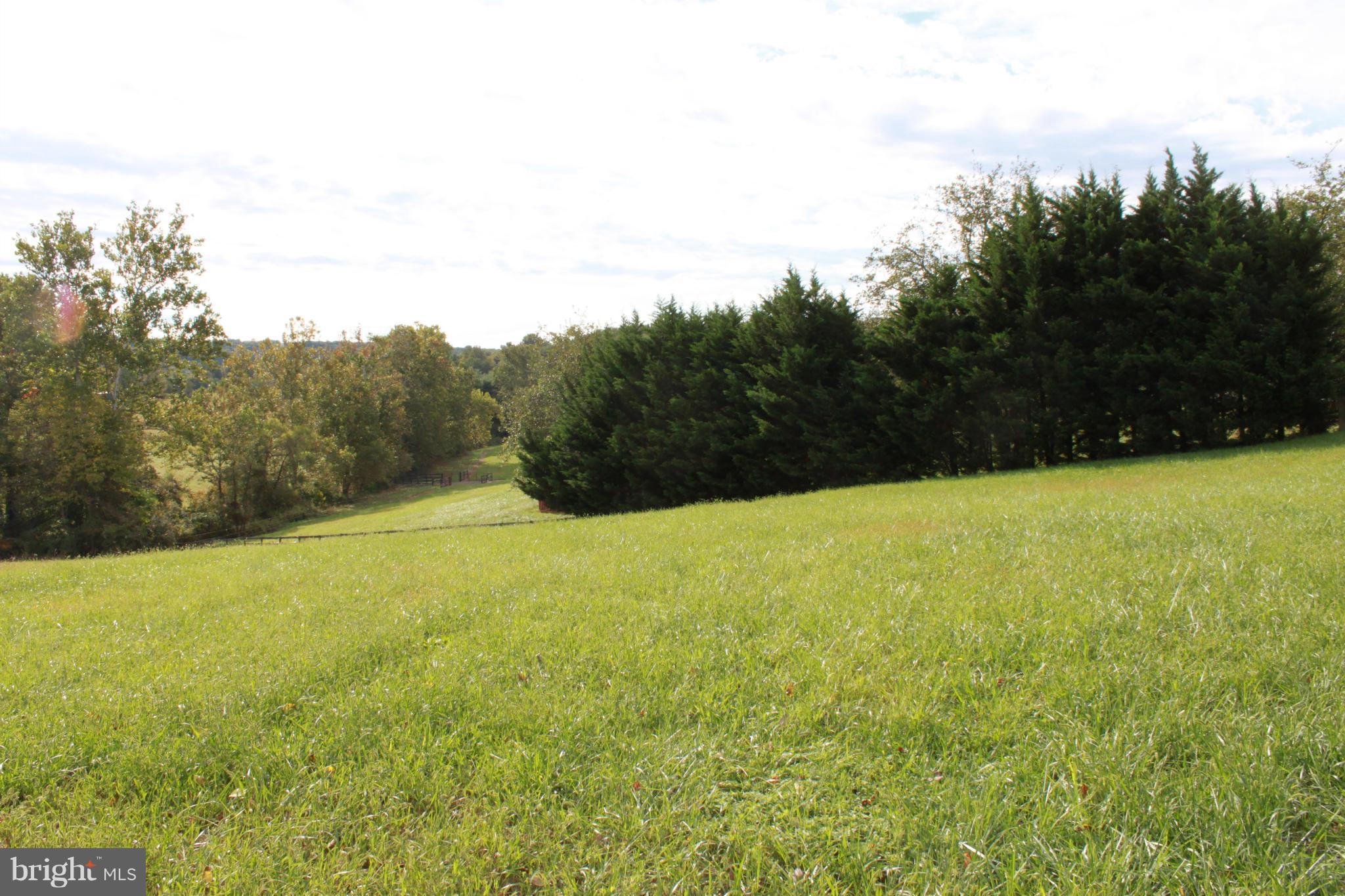 410 Hunters Road Washington, VA 22747 - Photo 5 of 29 The property