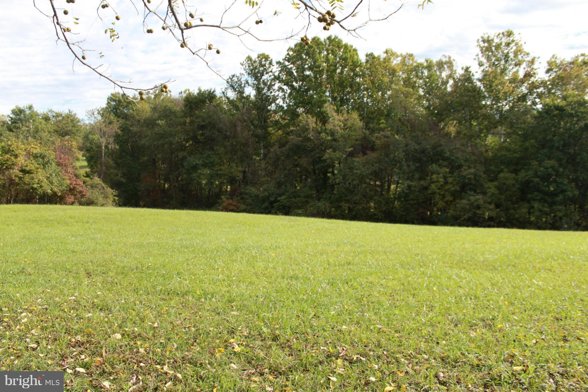 410 Hunters Road Washington, VA 22747 - Photo 6 of 29 The property