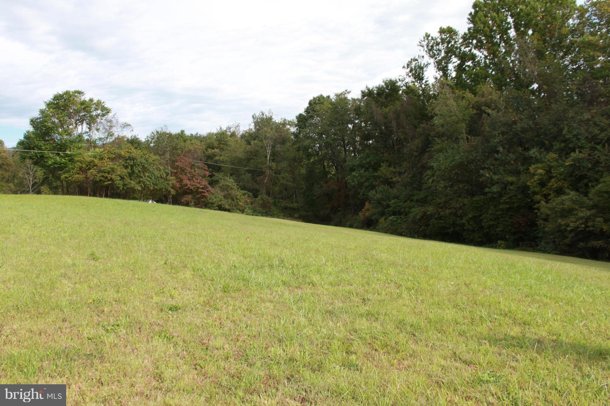 410 Hunters Road Washington, VA 22747 - Photo 8 of 29 Th back of the property