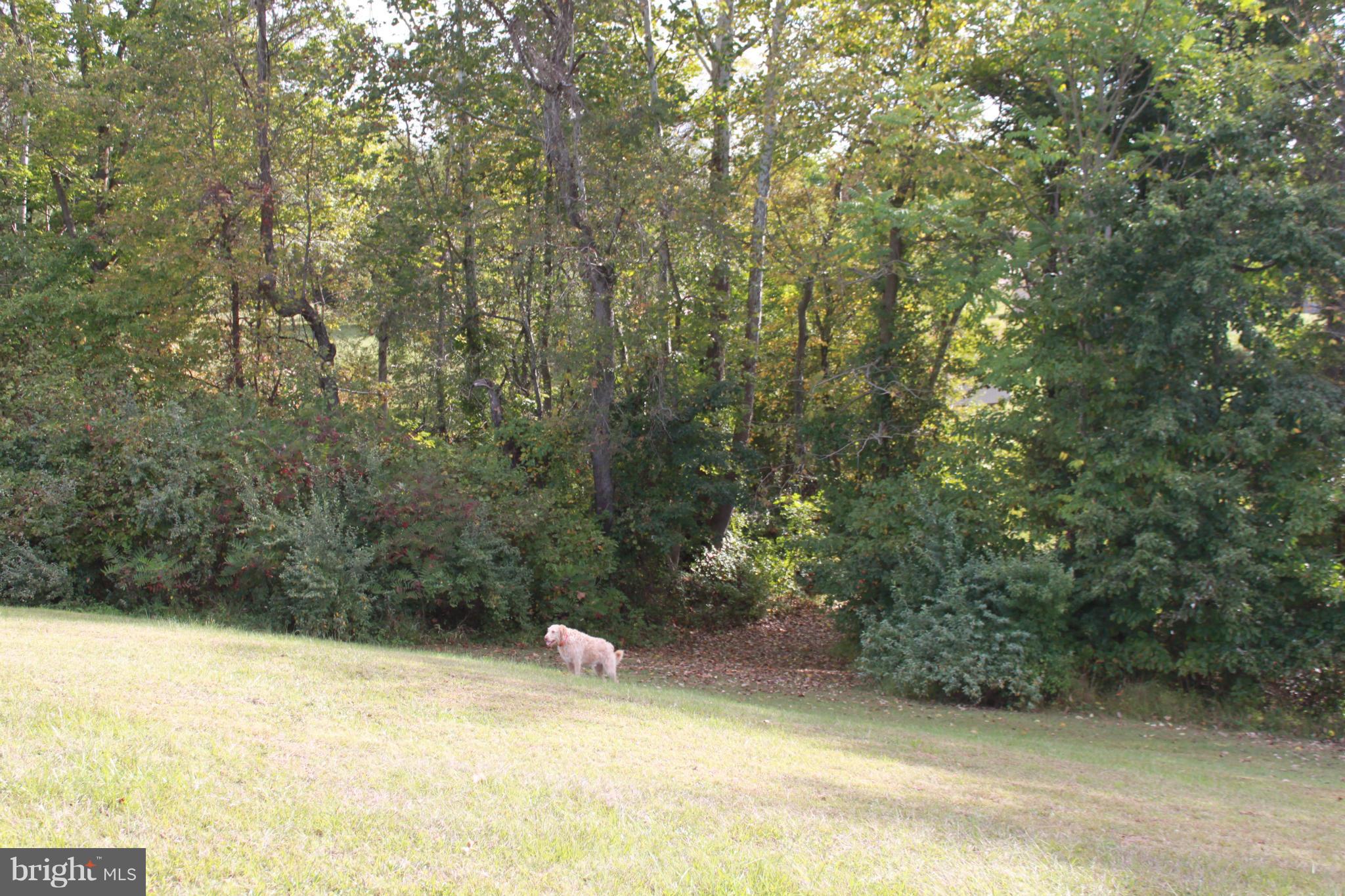 410 Hunters Road Washington, VA 22747 - Photo 9 of 29 View