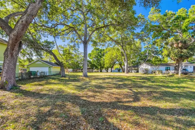 a view of a trees in a yard