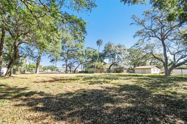 a view of a yard with large trees