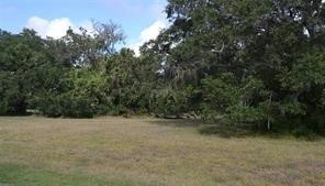 401 Rancho Chico Trail Angleton, TX 77515 - Photo 4 of 16