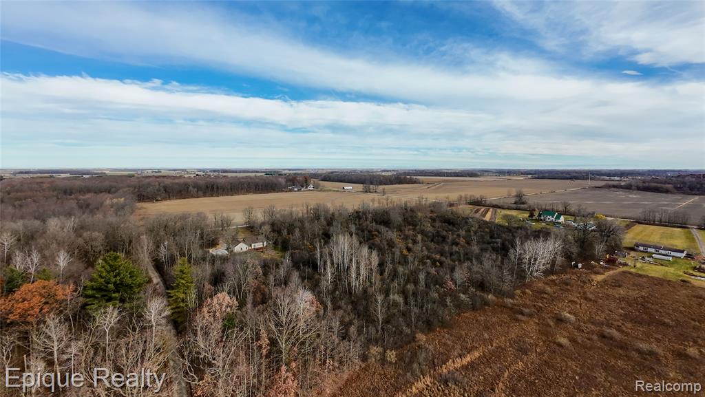 0 Brown Road Smiths Creek, MI 48074 - Photo 5 of 6