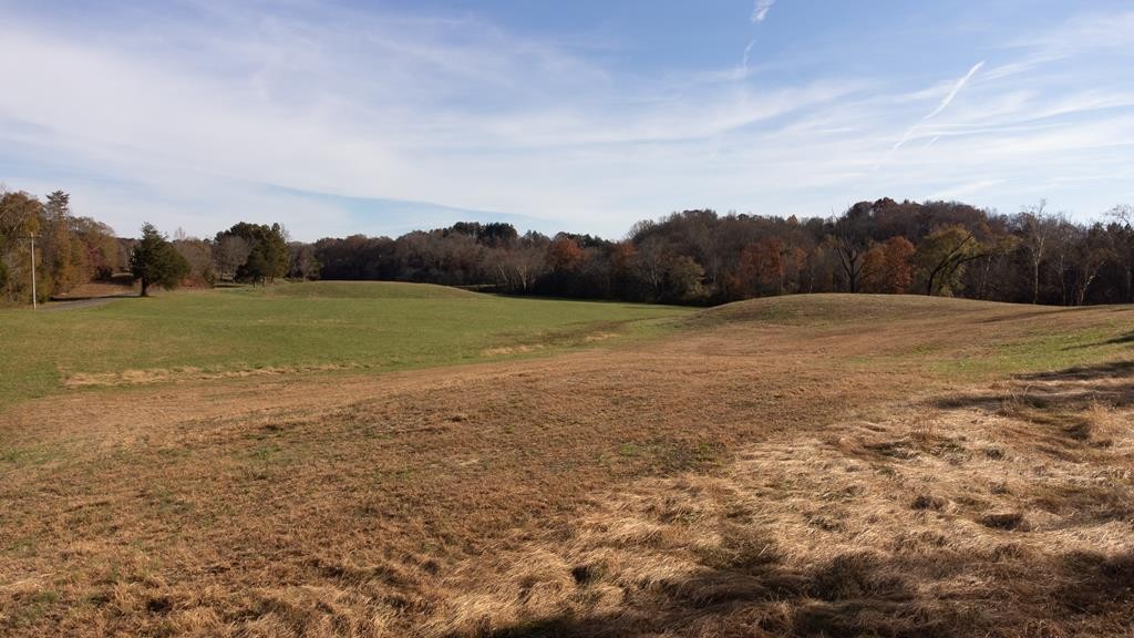 0 Athens Road Calhoun, TN 37309 - Photo 13 of 25