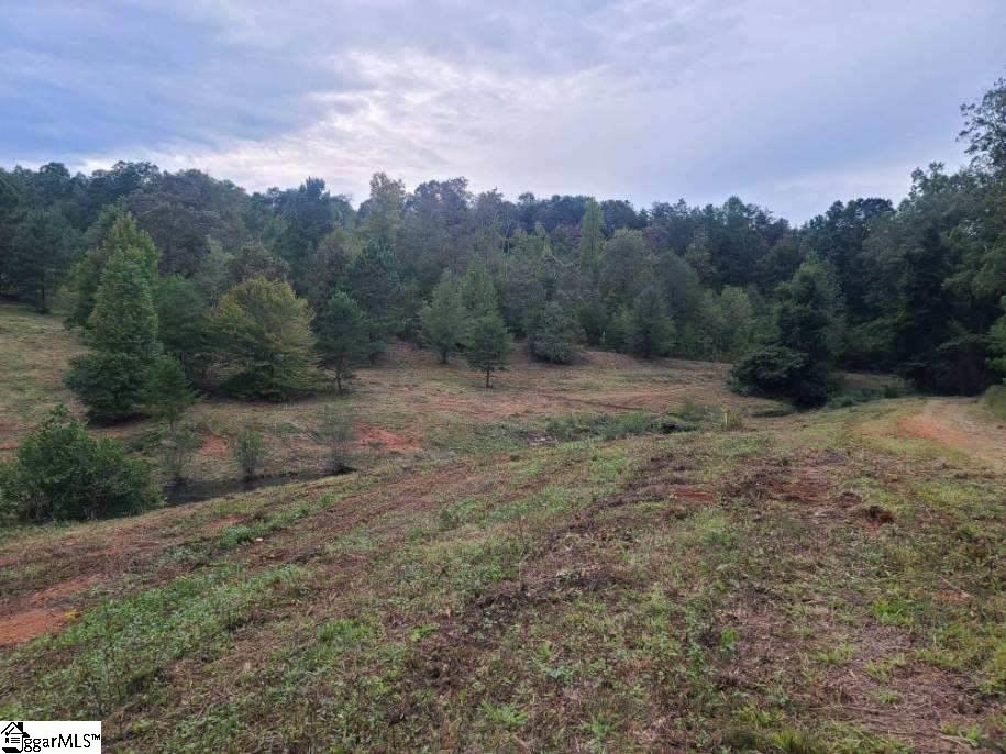 540 East Preston McDaniel Road Pickens, SC 29671 - Photo 1 of 13 Gallery Image 1