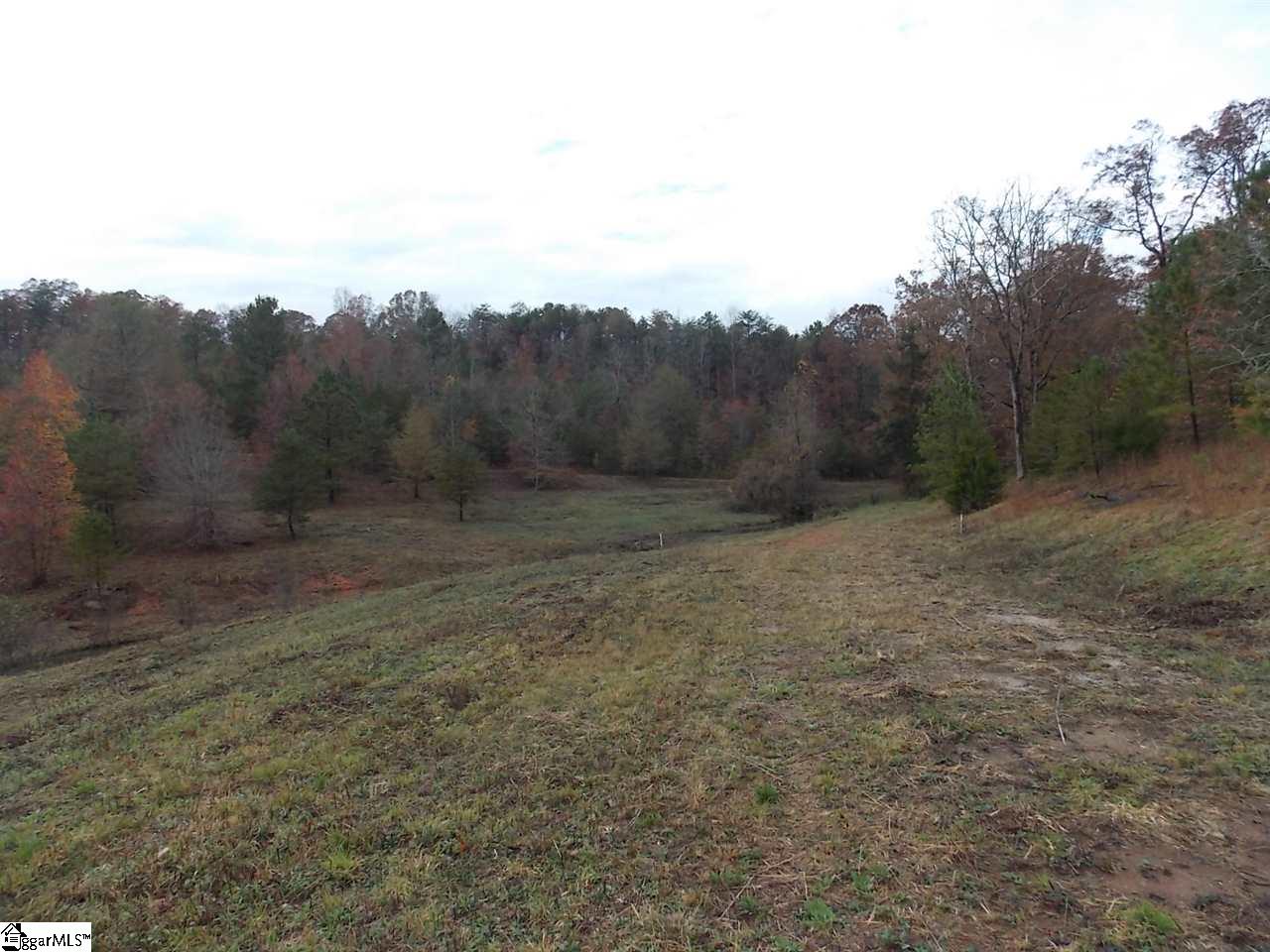 540 East Preston McDaniel Road Pickens, SC 29671 - Photo 9 of 13 Gallery Image 9