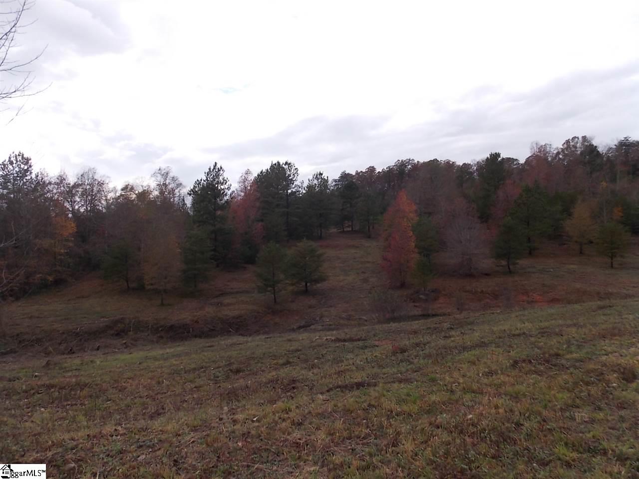 540 East Preston McDaniel Road Pickens, SC 29671 - Photo 10 of 13 Gallery Image 10