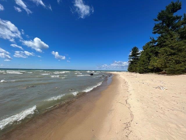 Tbd Antrim Dells Road Ellsworth, MI 49729 - Photo 14 of 23