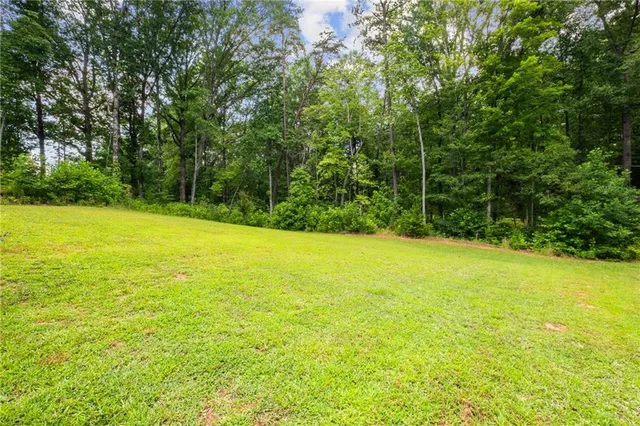 a view of a large yard with large trees