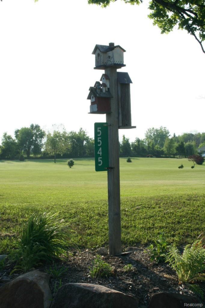 5545 Lyons Road Attica, MI 48412 - Photo 26 of 26 IMG_5851.jpg