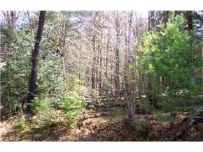 - Fox Run Road Stoddard, NH 03464 - Photo 1 of 7