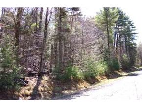 - Fox Run Road Stoddard, NH 03464 - Photo 2 of 7