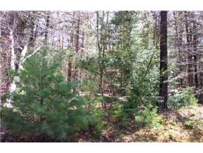 - Fox Run Road Stoddard, NH 03464 - Photo 5 of 7