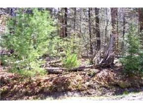 - Fox Run Road Stoddard, NH 03464 - Photo 7 of 7