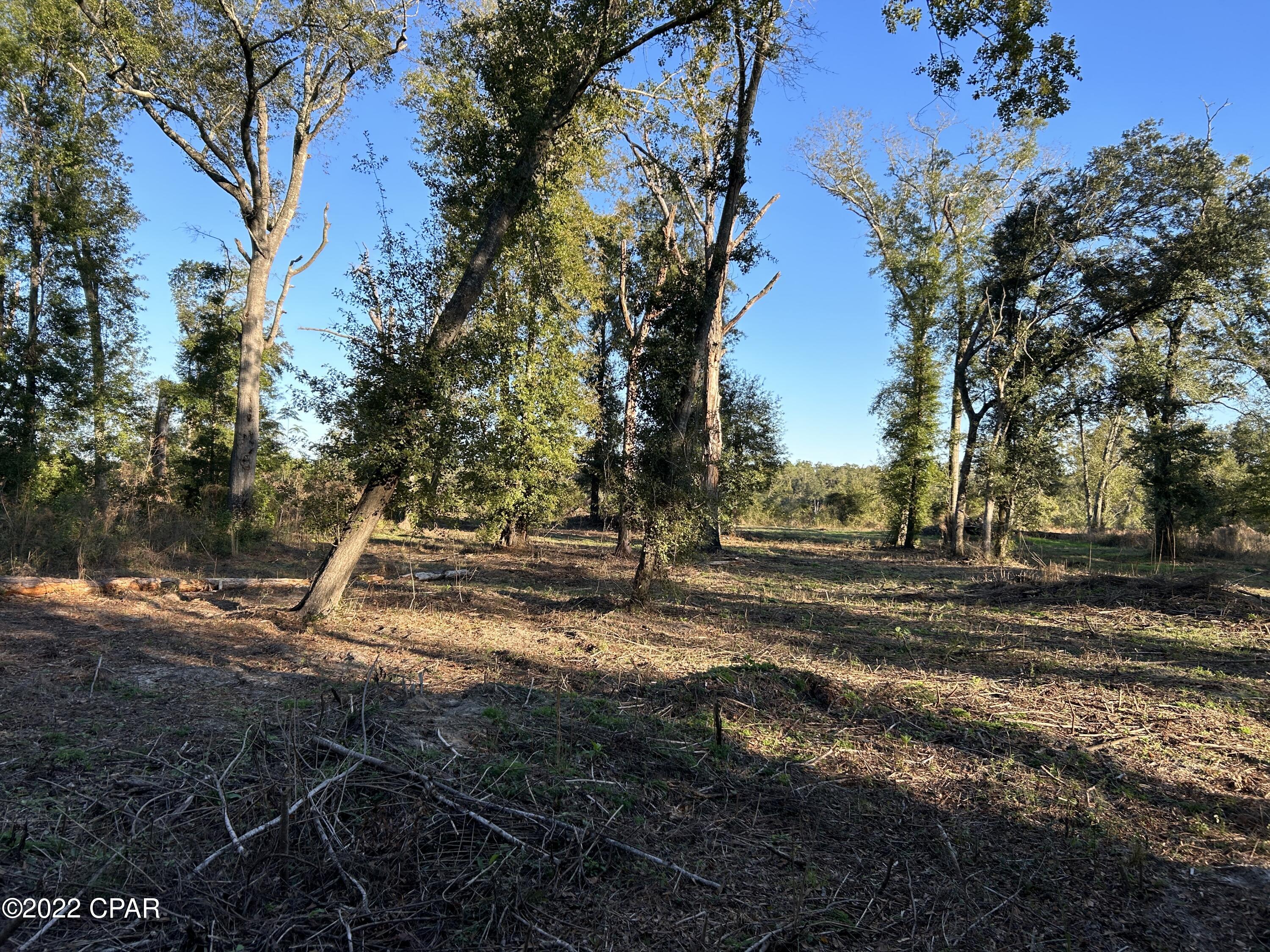 0 Bevis Road Bascom, FL 32423 - Photo 13 of 21