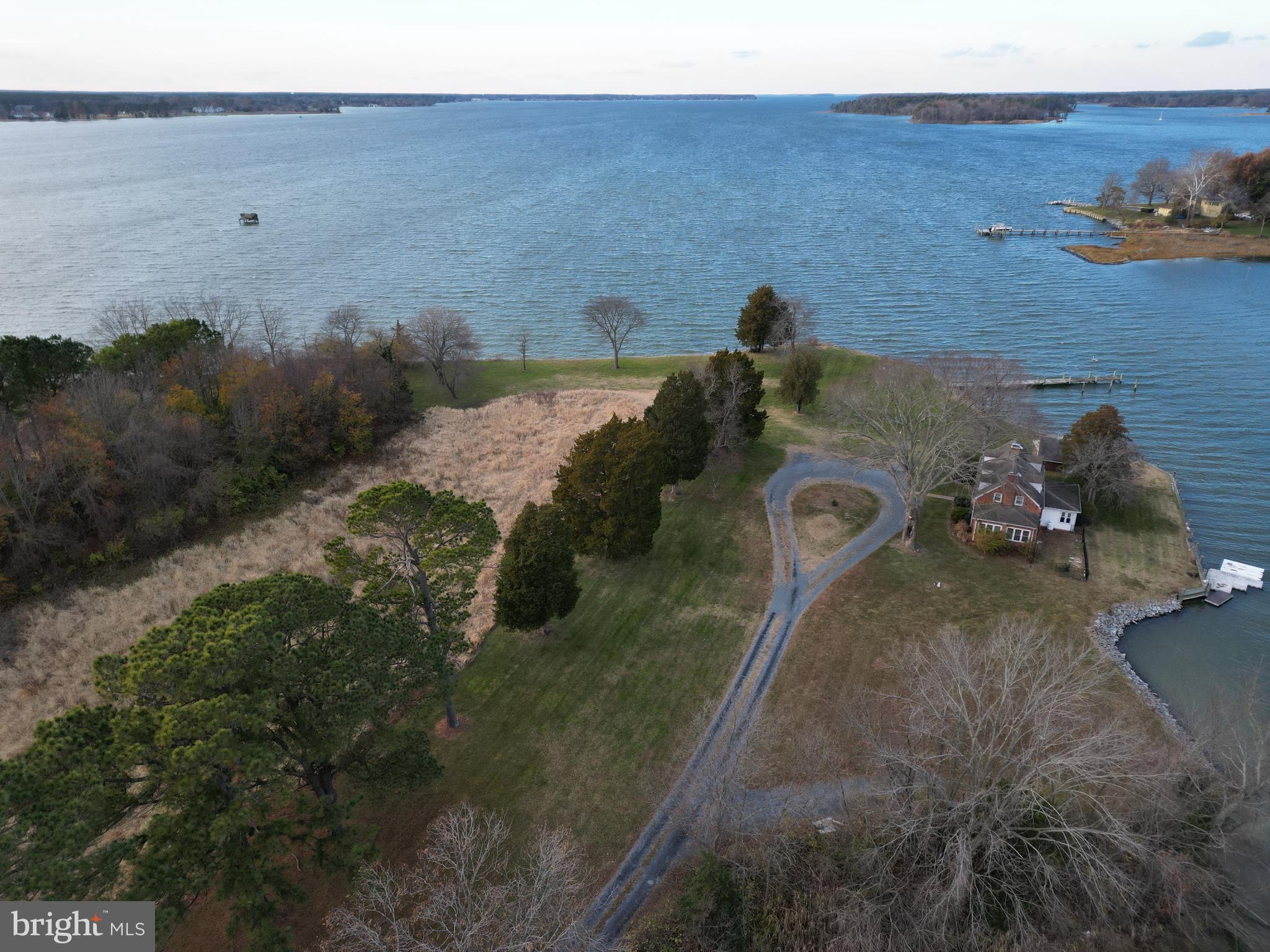 26396 St Michaels Road Easton, MD 21601 - Photo 14 of 23 a view of a backyard with trees