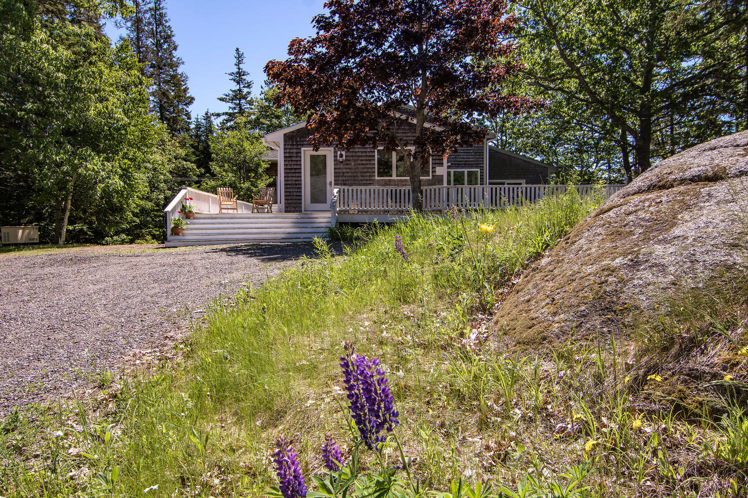 264 Sunshine Road Deer Isle, ME 04627 - Photo 8 of 49 264 Sunshine Road Deer Isle ME-large-007