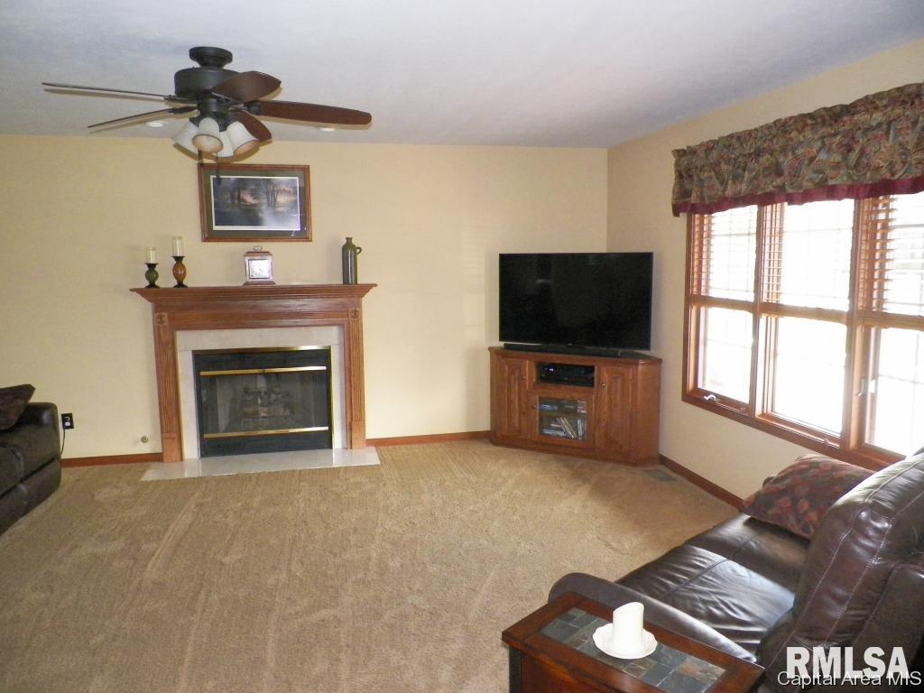 1113 Post Road Springfield, IL 62712 - Photo 9 of 25