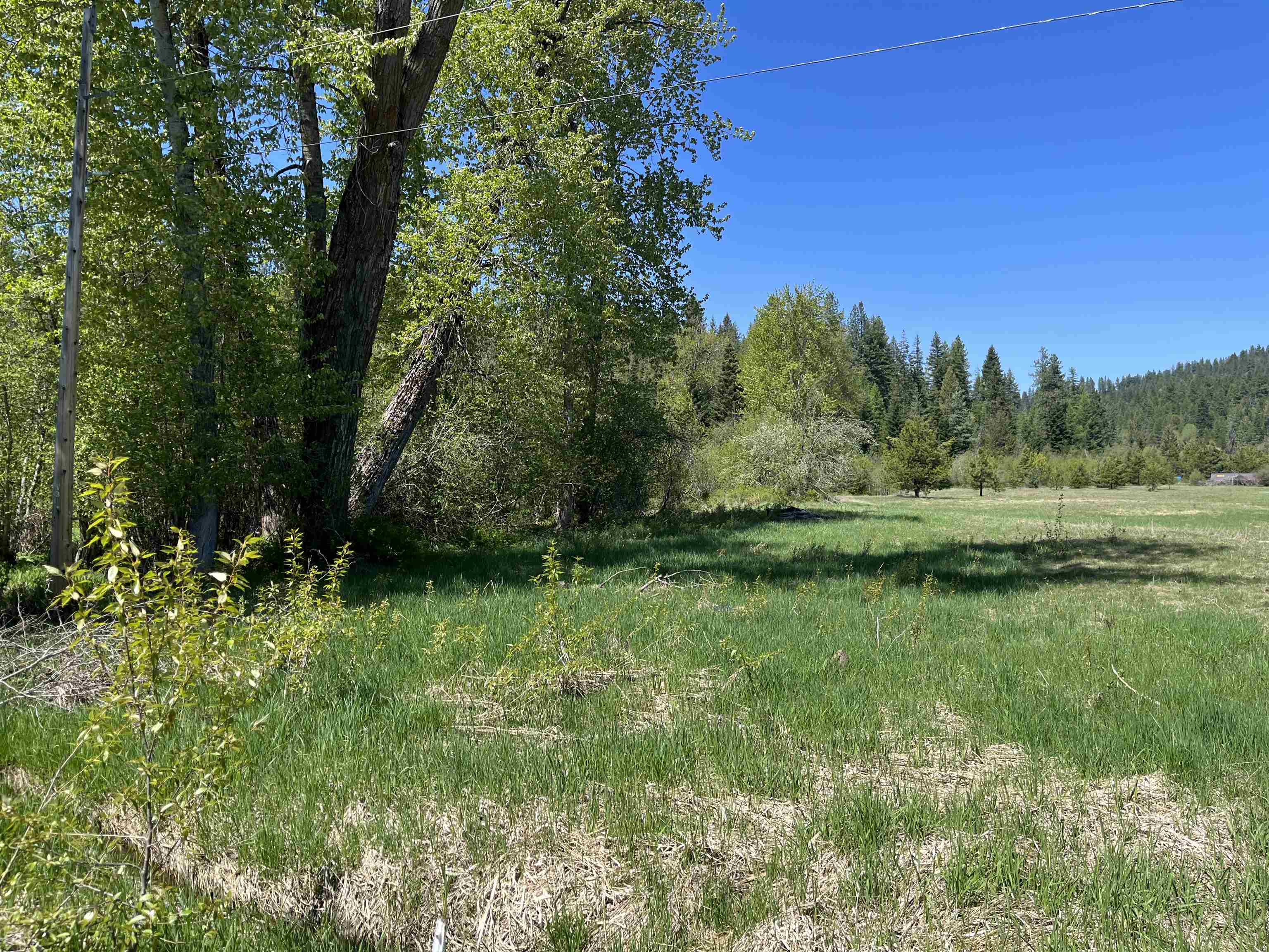 5452 Deer Valley Road Newport, WA 99156 - Photo 29 of 47 Gallery Image 29