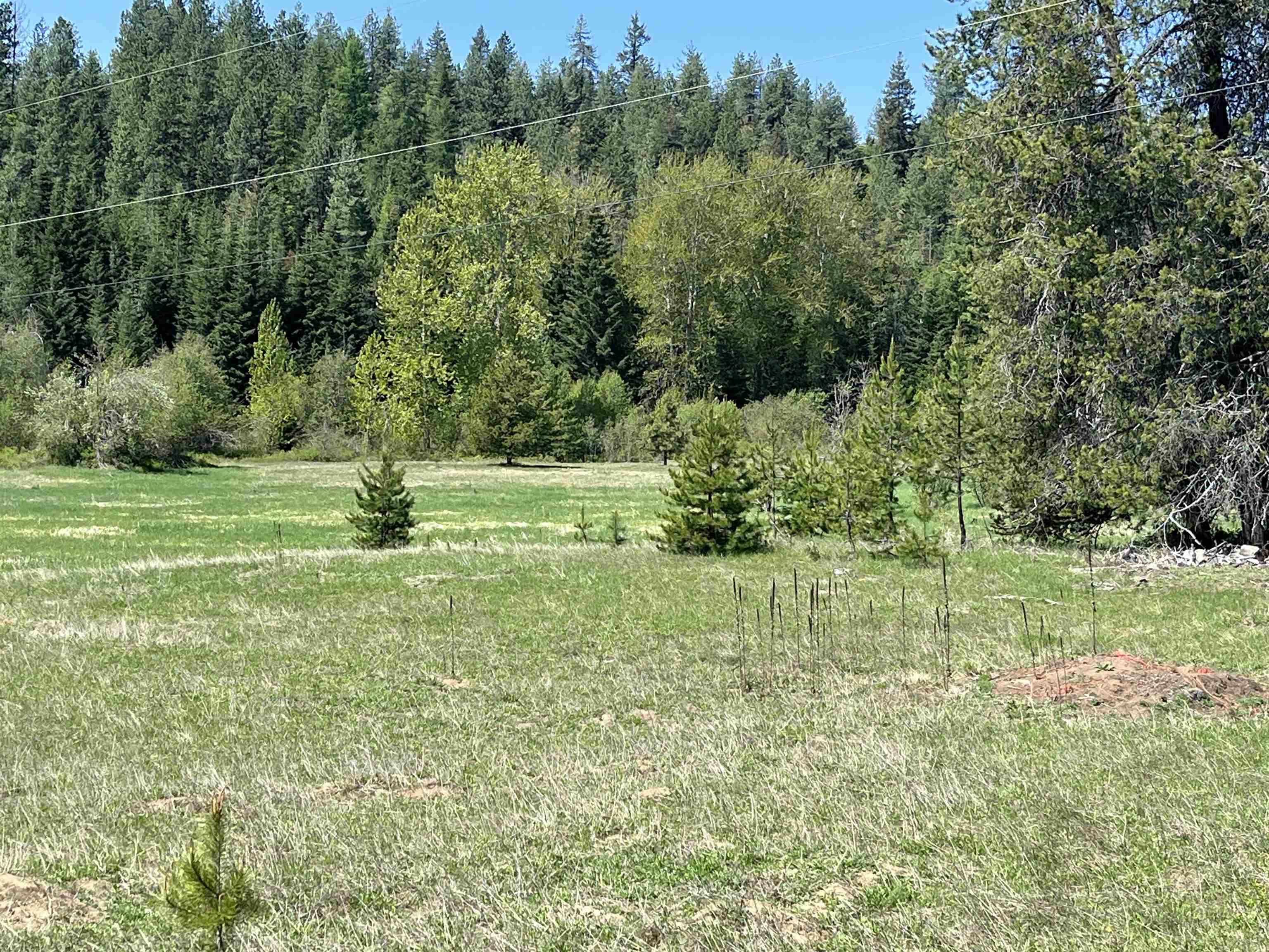 5452 Deer Valley Road Newport, WA 99156 - Photo 31 of 47 Gallery Image 31