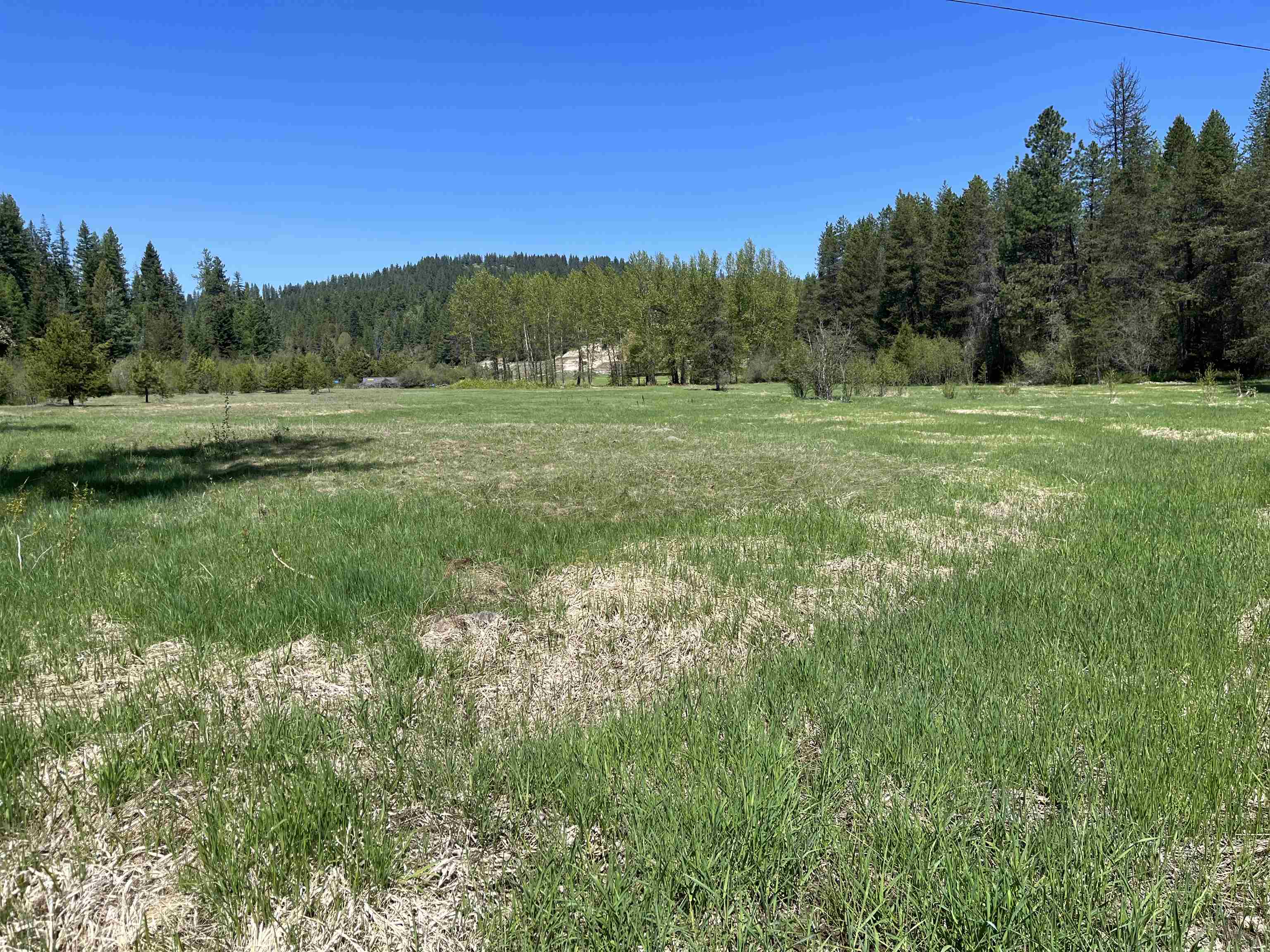5452 Deer Valley Road Newport, WA 99156 - Photo 34 of 47 Gallery Image 34