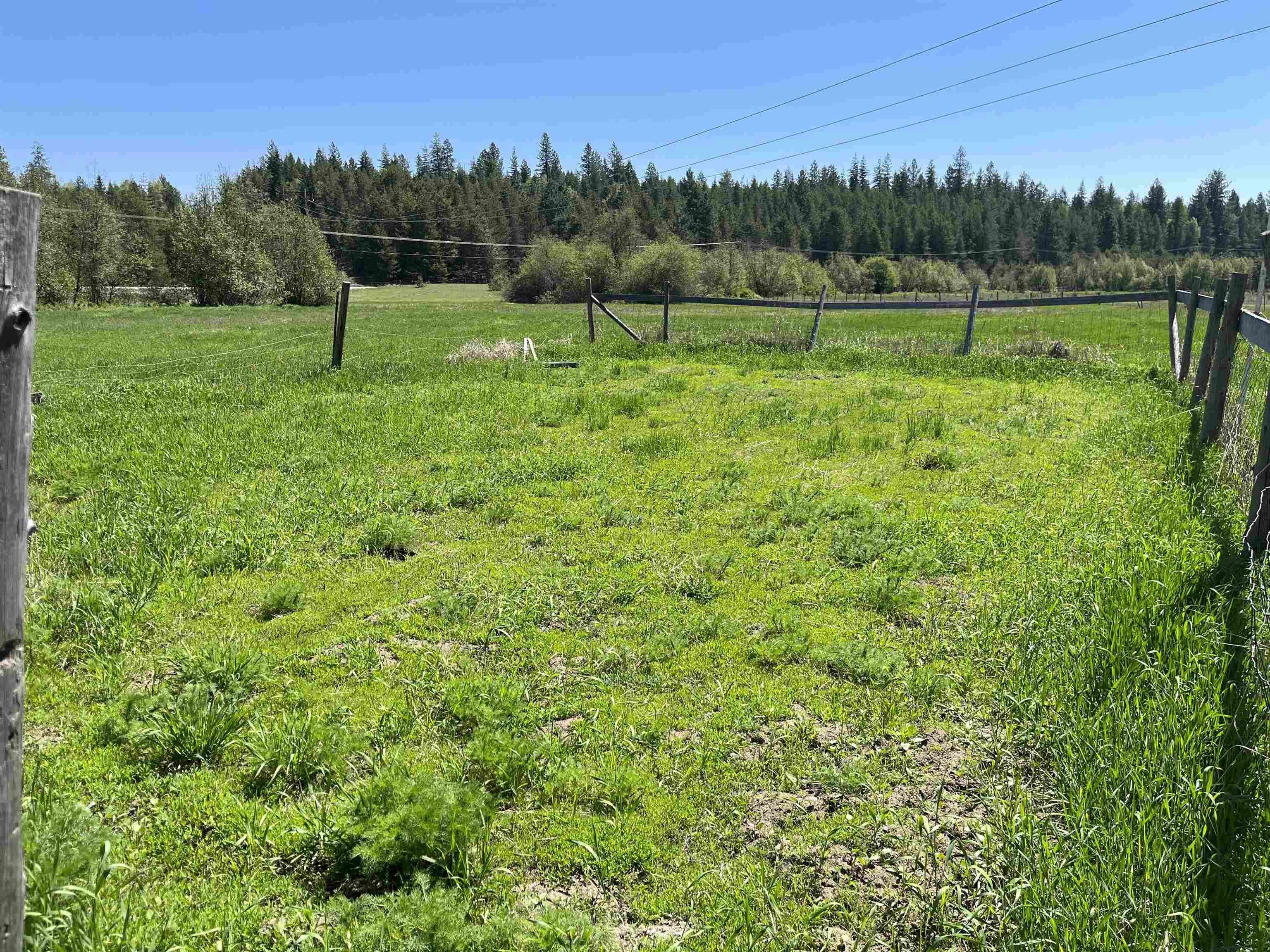 5452 Deer Valley Road Newport, WA 99156 - Photo 36 of 47 Gallery Image 36